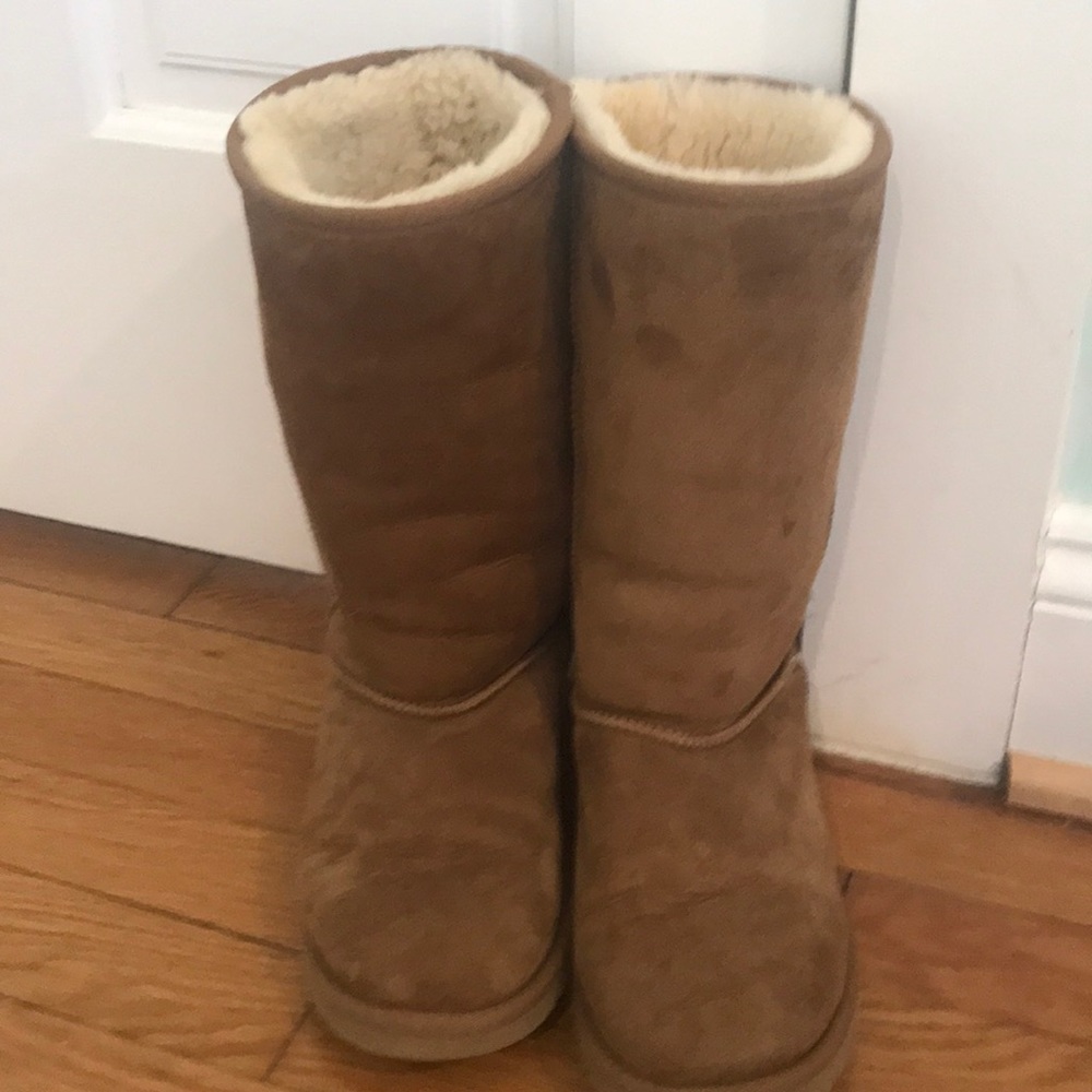 Tall Classic Brown UGGs
